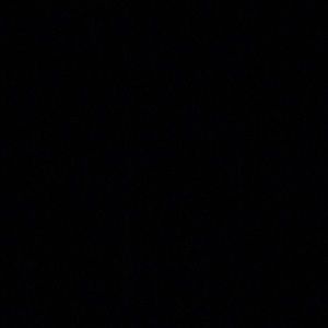 Meet your Posher, Adonnis